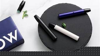 电子烟品牌对比：性能与口感的全面分析