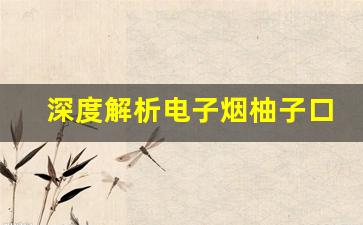 深度解析电子烟柚子口味货源的采购指南